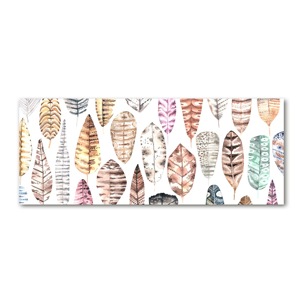 Quadro su vetro acrilico Piume colorate