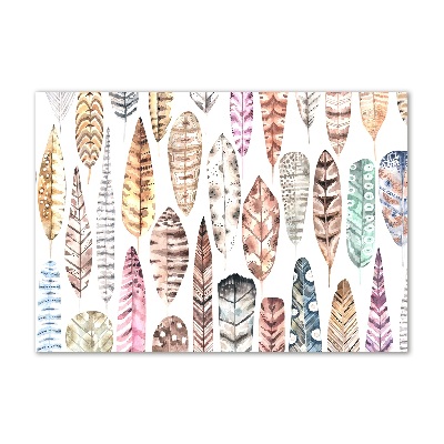 Quadro su vetro acrilico Piume colorate