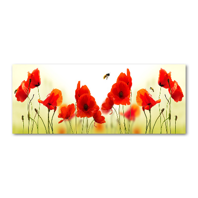 Quadro su vetro acrilico Papaveri