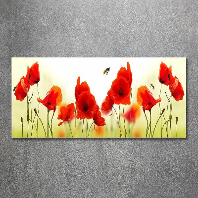 Quadro su vetro acrilico Papaveri