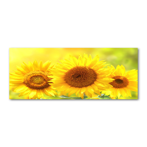 Quadro in vetro acrilico Girasoli