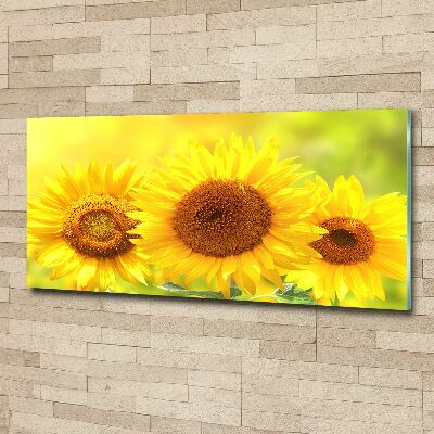 Quadro in vetro acrilico Girasoli