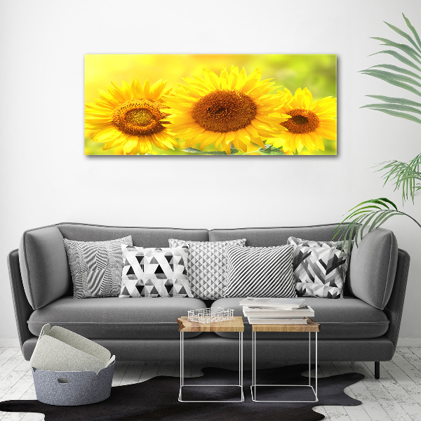 Quadro in vetro acrilico Girasoli