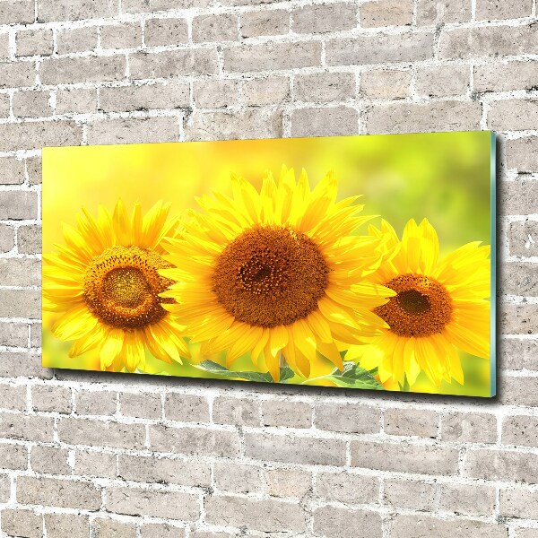 Quadro in vetro acrilico Girasoli