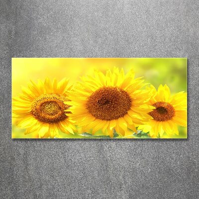 Quadro in vetro acrilico Girasoli