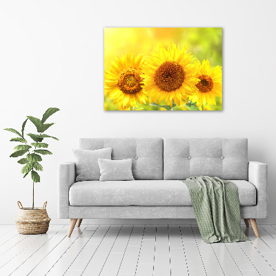 Quadro in vetro acrilico Girasoli