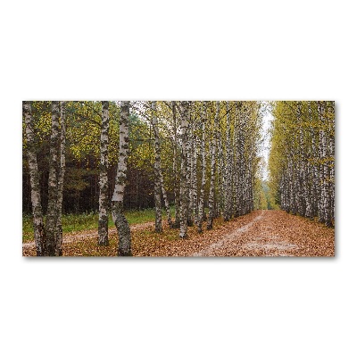 Quadro vetro acrilico Viale delle betulle