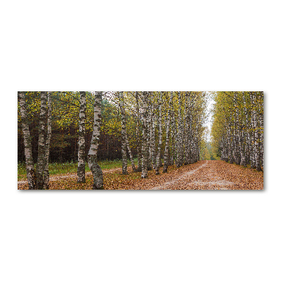 Quadro vetro acrilico Viale delle betulle