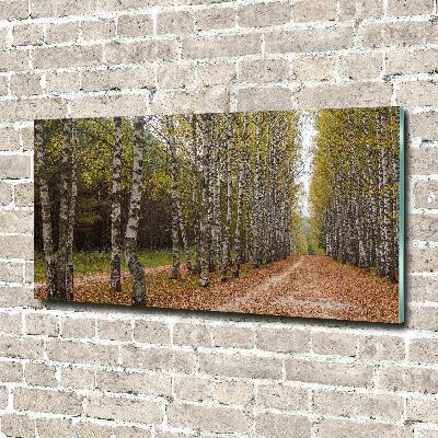 Quadro vetro acrilico Viale delle betulle