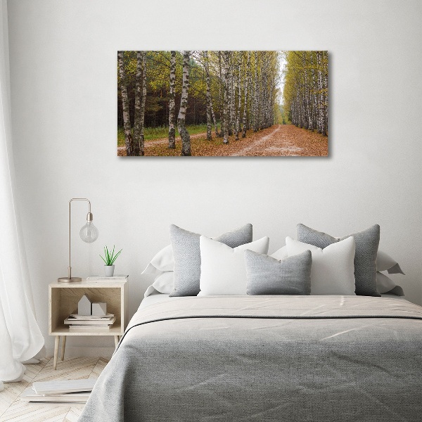 Quadro vetro acrilico Viale delle betulle