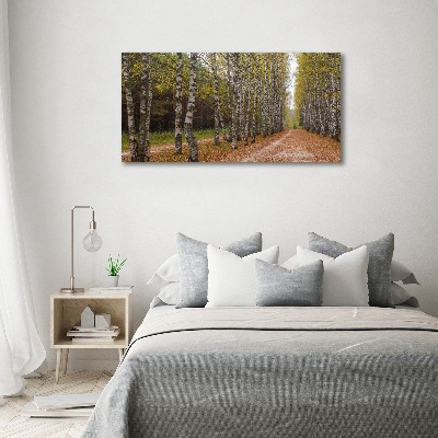 Quadro vetro acrilico Viale delle betulle