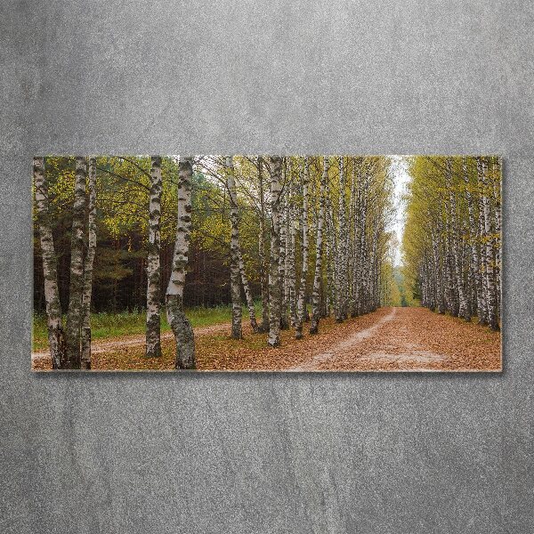 Quadro vetro acrilico Viale delle betulle