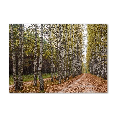 Quadro vetro acrilico Viale delle betulle