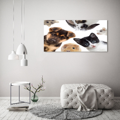 Quadro su vetro acrilico Animali domestici