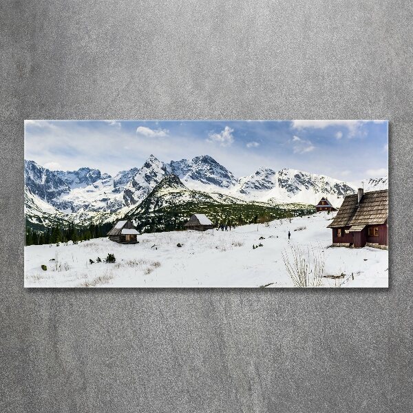 Quadro in vetro acrilico Pascoli dei Monti Tatra
