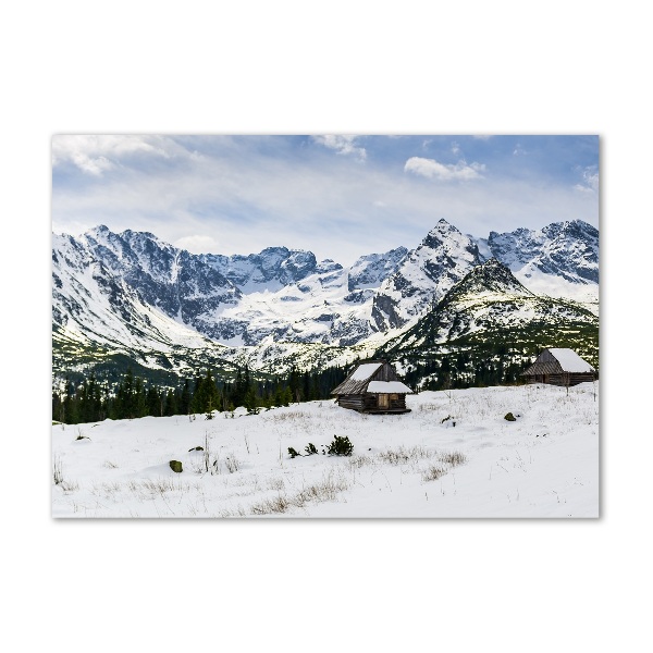 Quadro in vetro acrilico Pascoli dei Monti Tatra