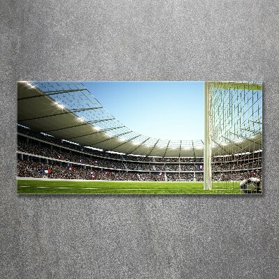 Quadro in vetro acrilico Stadio Francia