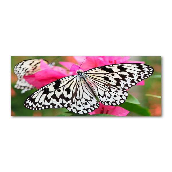 Quadro in vetro acrilico Farfalla su un fiore