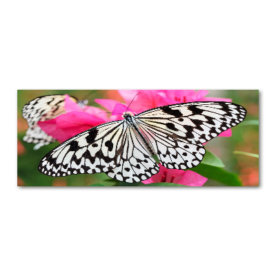 Quadro in vetro acrilico Farfalla su un fiore