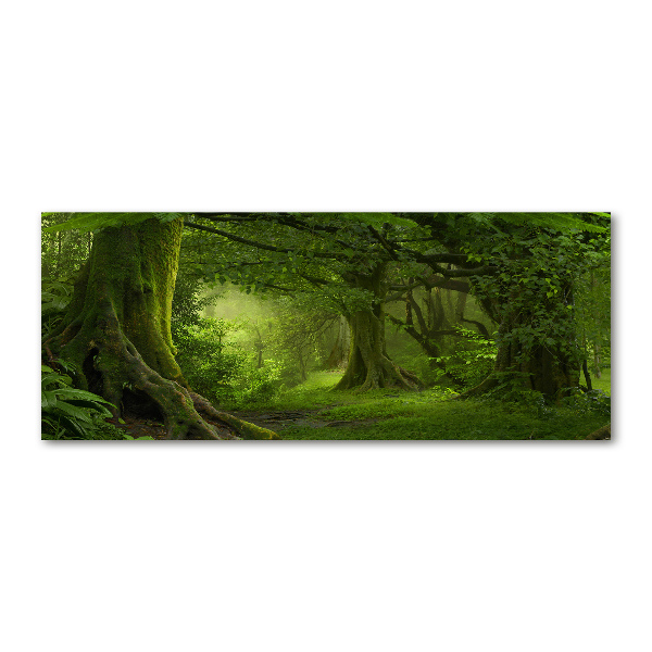 Quadro su vetro acrilico Giungla tropicale