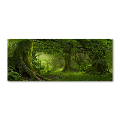 Quadro su vetro acrilico Giungla tropicale