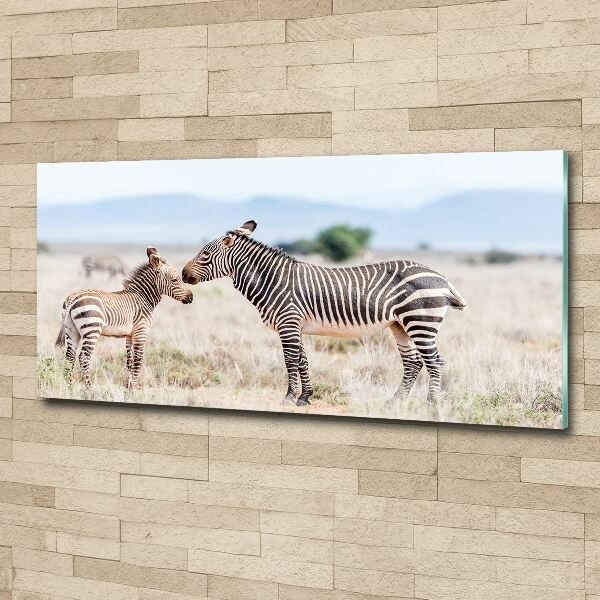 Quadro vetro acrilico Zebre in montagna
