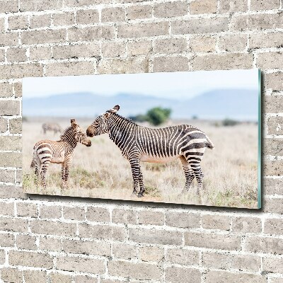 Quadro vetro acrilico Zebre in montagna