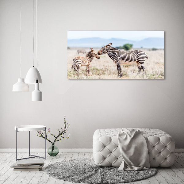 Quadro vetro acrilico Zebre in montagna