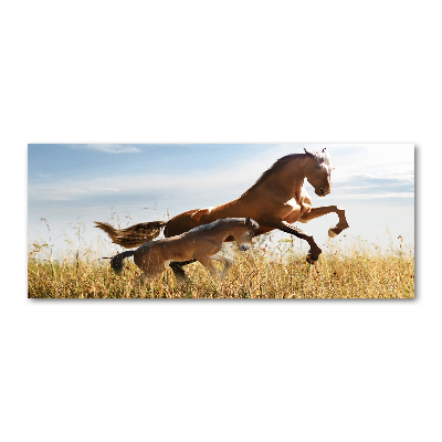 Quadro su vetro acrilico Giumenta con puledro