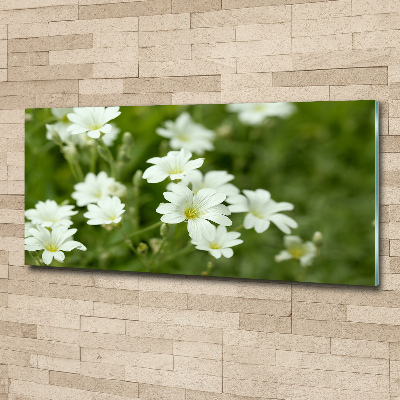 Quadro vetro acrilico Fiori primaverili