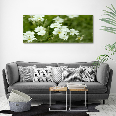 Quadro vetro acrilico Fiori primaverili
