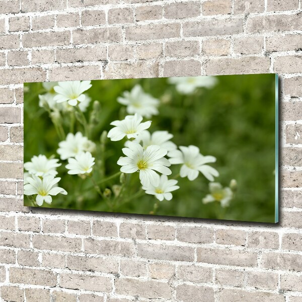 Quadro vetro acrilico Fiori primaverili
