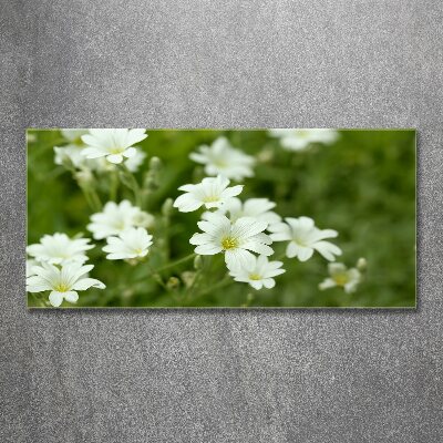 Quadro vetro acrilico Fiori primaverili