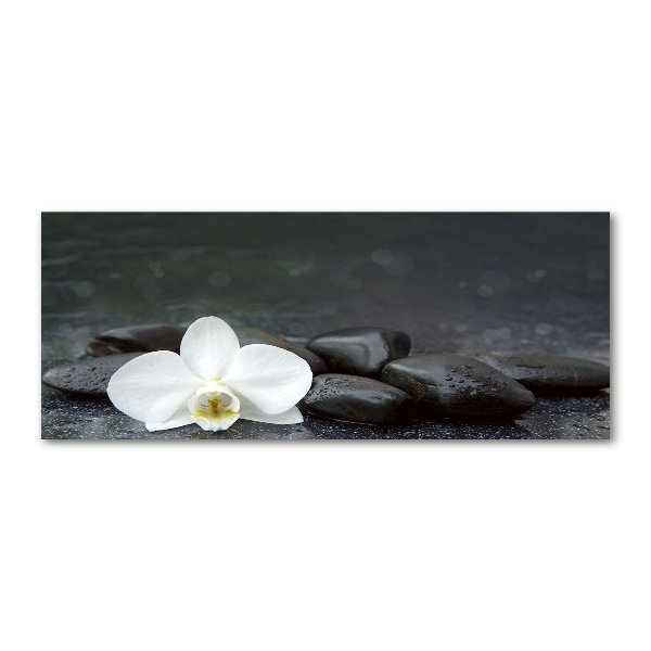 Quadro vetro acrilico Orchidea