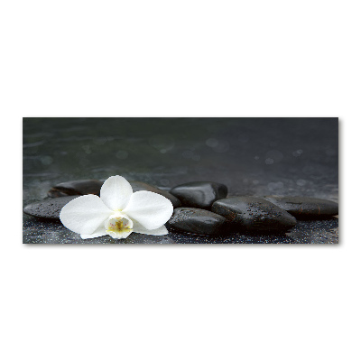 Quadro vetro acrilico Orchidea