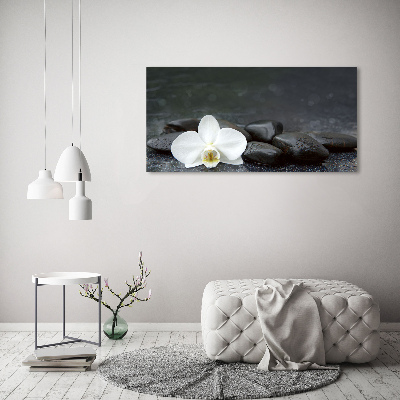 Quadro vetro acrilico Orchidea