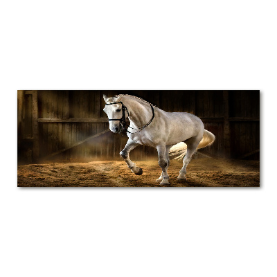 Quadro in vetro acrilico Cavallo bianco nella stalla