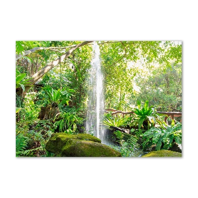 Quadro in vetro acrilico Cascata
