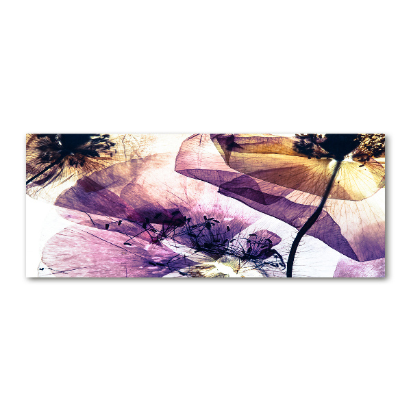 Quadro su vetro acrilico Papaveri secchi