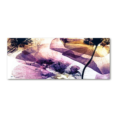 Quadro su vetro acrilico Papaveri secchi