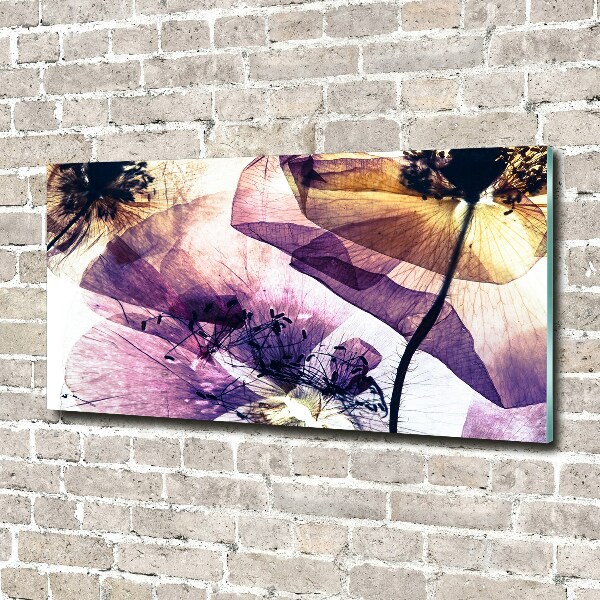 Quadro su vetro acrilico Papaveri secchi