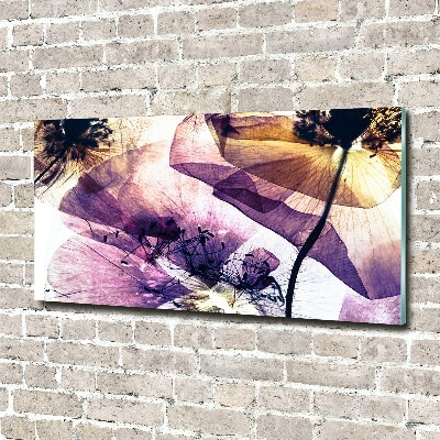 Quadro su vetro acrilico Papaveri secchi