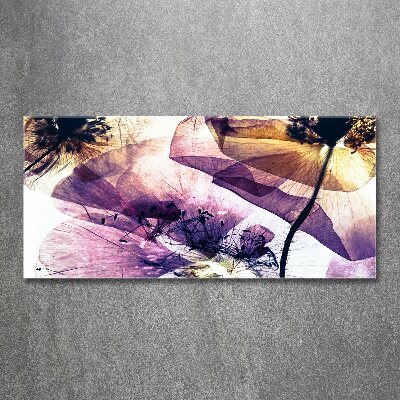 Quadro su vetro acrilico Papaveri secchi