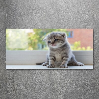 Quadro su vetro acrilico Un gattino vicino alla finestra
