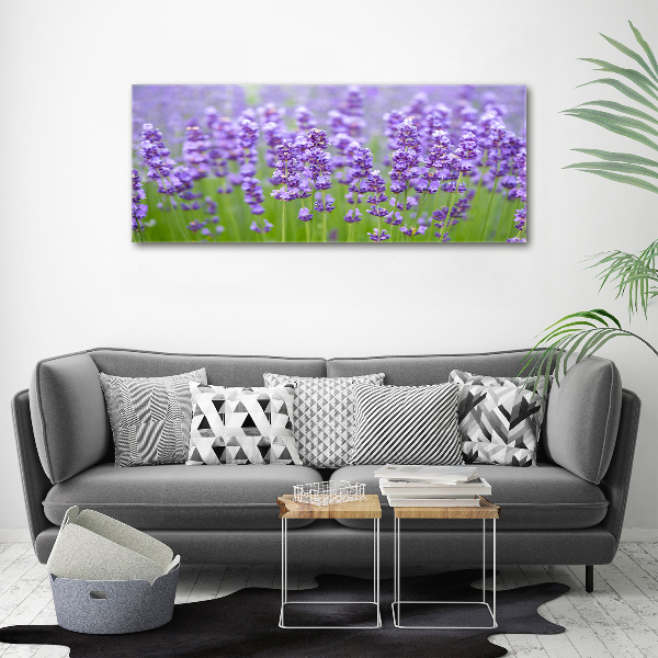 Quadro su vetro acrilico Lavanda