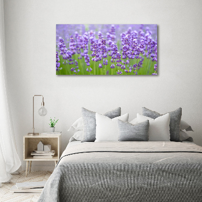 Quadro su vetro acrilico Lavanda