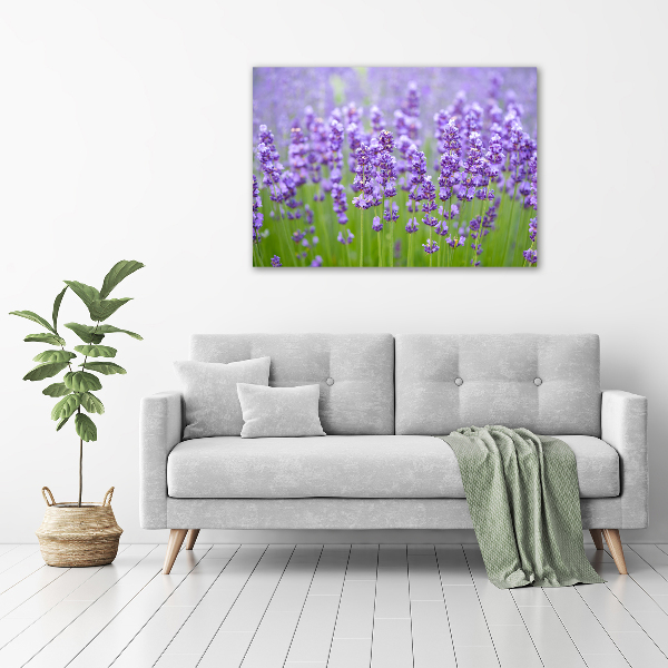 Quadro su vetro acrilico Lavanda