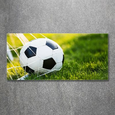 Quadro su vetro acrilico La palla è in porta
