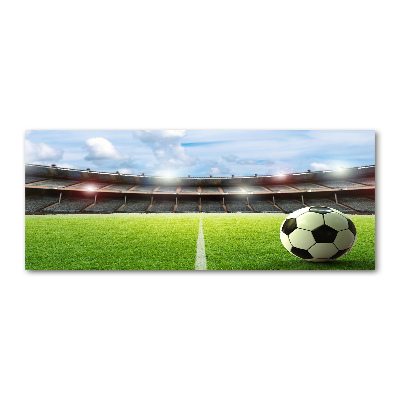 Quadro vetro acrilico La palla sul campo