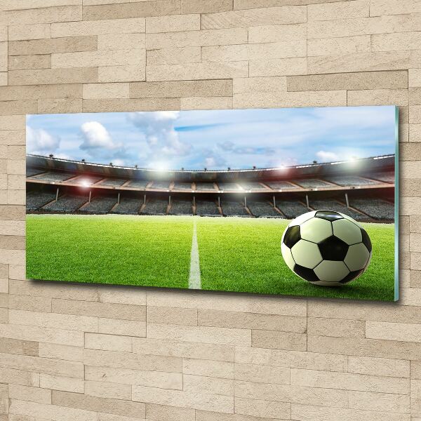 Quadro vetro acrilico La palla sul campo